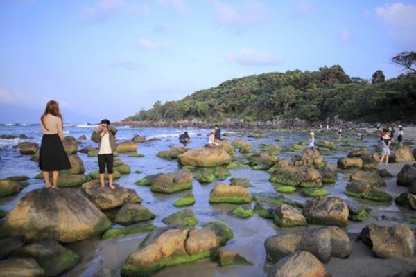 <br />
За что туристы полюбили пляж, покрытый мхом в Дананге<br />
